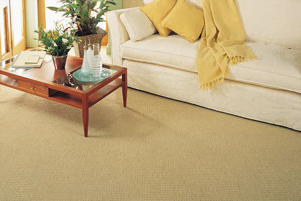 Featured image for “Carpets”